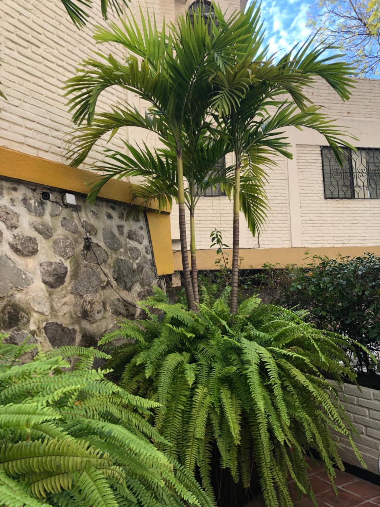 Hotel Ilebal Cuernavaca Centro - Lugar Con Encanto! Zewnętrze zdjęcie