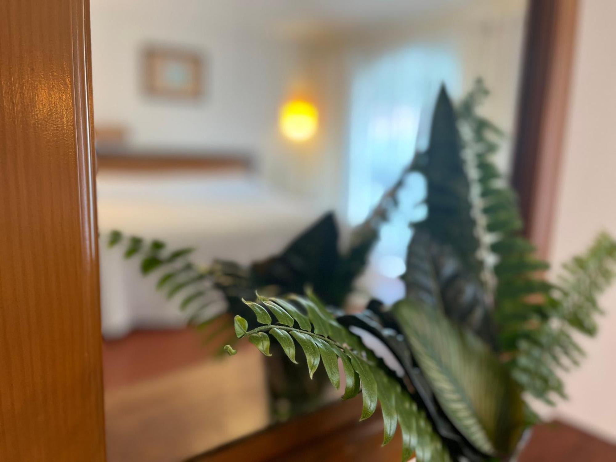 Hotel Ilebal Cuernavaca Centro - Lugar Con Encanto! Zewnętrze zdjęcie