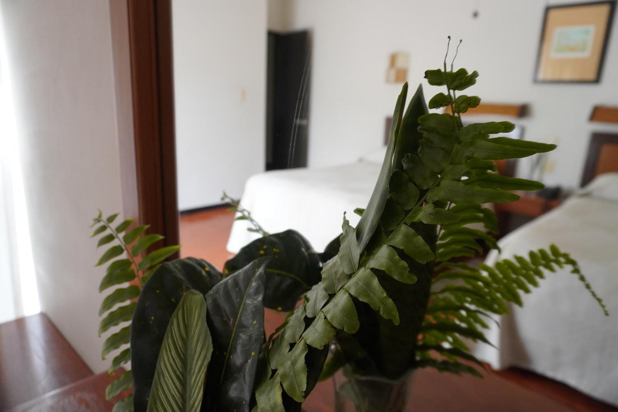 Hotel Ilebal Cuernavaca Centro - Lugar Con Encanto! Zewnętrze zdjęcie